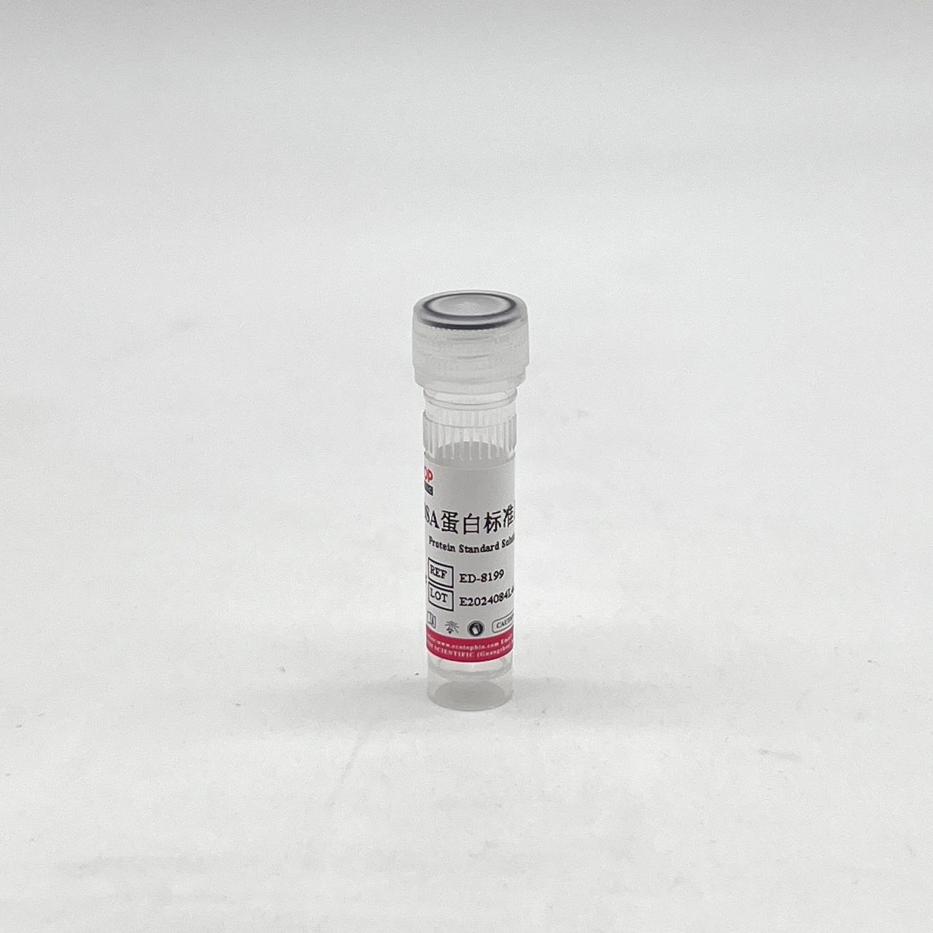 ED-8199 BSA蛋白标准品（2mg/ml BSA）