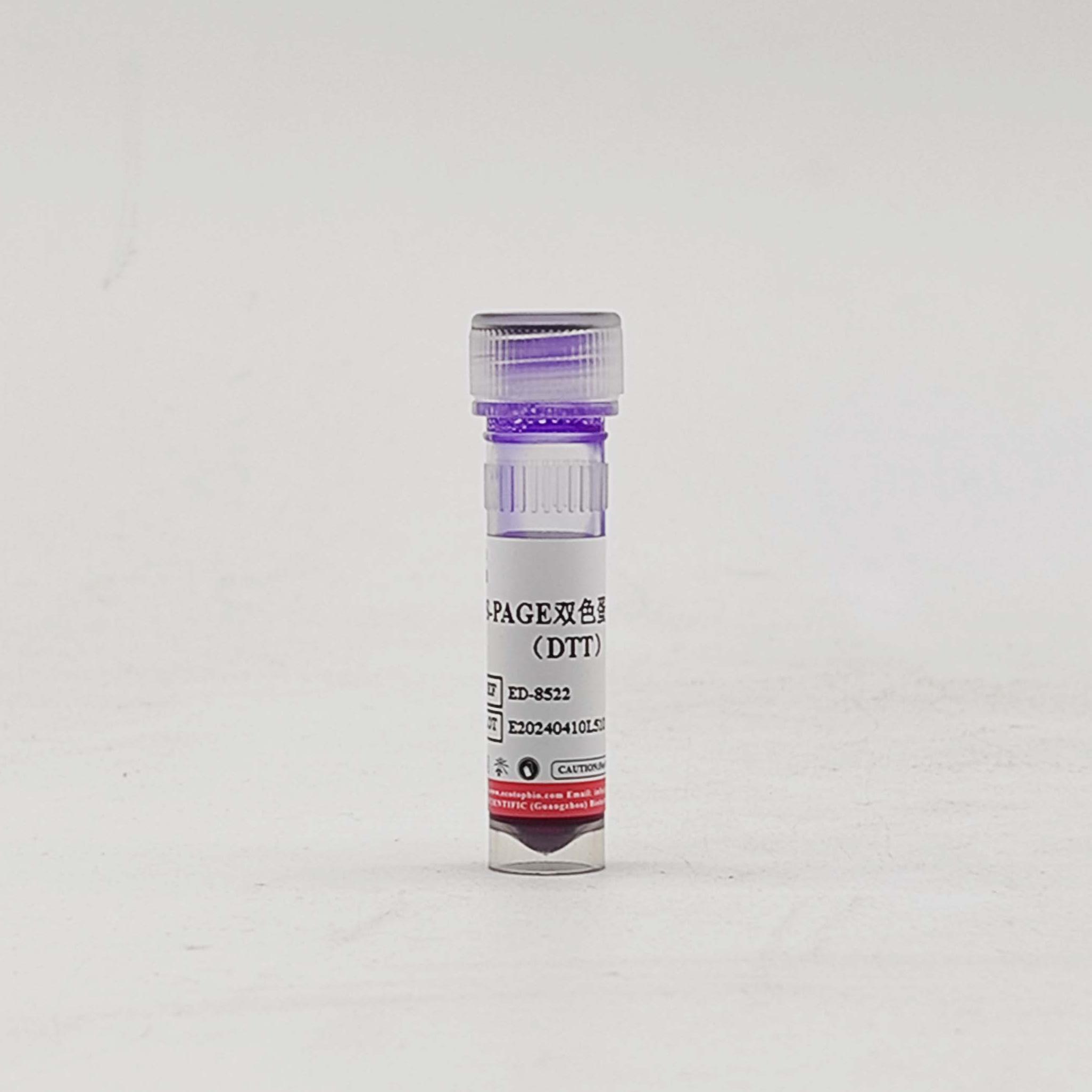 ED-8522 5×SDS-PAGE双色蛋白上样缓冲液（DTT）